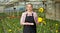 Female florist showing potted ornamental sunflower