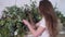 Female florist stands at a height with eucalyptus branches in her hands and decorates flowers on beautiful wooden gates