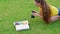 Female food photographer shooting donuts on grass