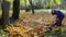 Female gardener blowing leaves in garden yard in autumn season