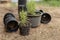 Female gardener concept two green herbs in the black plastic pots placing on the ground with other empty black pots lying down