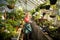 Female gardener examining plants at greenhouse