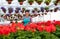 Female gardener in a greenhouse admires the flowers in full bloom