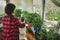 Female gardener growing tomatoes seedlings in a country greenhouse.Springtime leisure activities. Gardening concept