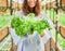 Female gardener holding leafy green plant in greenhouse.