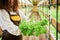 Female gardener holding leafy green plant in greenhouse.