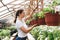 Female gardener inspecting flowers farm inside greenhouse