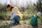 Female gardener planting in orchard in spring season