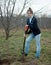 Female gardener planting raspberry