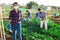 Female gardener in protective mask working in vegetable garden