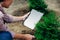 Female gardener using digital tablet computer in her garden, check information online about growth thuja tree