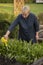 Female gardener watering fresh lettuce sorrel plants in garden raised beds