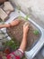 Female gardening in house. Growing vegetables in house