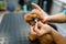 Female groomer cleans the fangs of cute dog