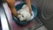 Female groomer hands holding pet. The basin in the water and foam washes white French lapdog