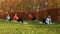 Female group training stretching exercise on yoga carpet in autumn park. Fitness woman training on outdoor workout in