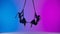 Female gymnastic duet isolated on neon studio background. Girls aerial dancers performers spin on acrobatic trapeze with