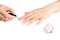 Female hand applies a varnish on a nail. Hands on a white background next to a bottle of pink varnish