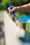 Female hand applying protective varnish on wooden fence