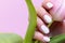 Female hand with beautiful manicure - white ivory nails with tulip flower on pink blurred background, closeup. Selective focus