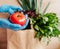 a female hand in a blue rubber glove holds a red tomato