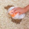 Female hand cleans the carpet with a sponge and detergent. Coffee spilled on the carpet.