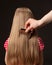 Female hand combing beautiful long hair