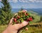 Female hand with cowberries twigs with berries and leaves on mountains background