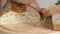 female hand cuts bread on the table with rosemary, olives and olive oil. Freshly baked Italian Bread, sliced with a