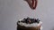 Female hand decorates a cake with blueberries. Close-up, slow motion.
