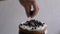 Female hand decorates a cake with blueberries. Close-up, slow motion.