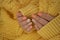 Female hand  design elegance  autumn   fashionable beautiful manicure cloth modern