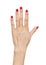 Female hand five fingers.