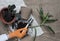 Female hand, flowerpots, soil pile, plant sprout, rake and shovel on burlap background. Woman replanting indoor potted flowers,