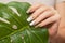 Female hand with glitter nail polish. Nail design in gold and white shades. Women hand with sparkle manicure and green leaf