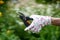 A female hand in gloves with a floral pattern holds a pruner