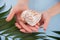 Female hand holding beautiful colorful exotic seashell with selective focus on blue wooden background. Summer vacation backdrop