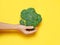 Female hand holding broccoli on yelow background