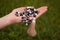 Female hand holding a buddhist japa mala made from 108 natural stones beads for meditation on green grass background