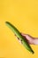 Female hand holding cucumber on yellow background - Woman hold green cucumber with copy space - Sexual potency concept