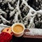 Female hand holding a cup of hot drink, snowy white fir branches as background