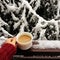 Female hand holding a cup of hot drink, snowy white fir branches as background