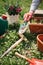 Female hand holding garden shovel over gardening tools