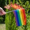A female hand holding an LGBT rainbow flag against the backdrop of blooming Lilies