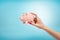 Female hand holding tiny pink piggy bank between her fingers on blue background