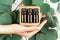 Female hand holding wooden cube with unbranded glass bottle. Cosmetic containers set for natural medicine, essential and massage