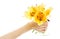 Female hand holding yellow madonna lily bouquet