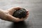 Female hand holds a black stone of lava and magma from the volcano Etna on the island of Sicily, Italy. Stone after the eruption