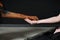 Female hand holds Dobermans big paw. The girl greets the dog by the hand. Close-up