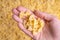 Female hand holds farfalle pasta. Top view macaroni